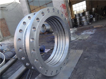 768547.jpg 10137296.jpg